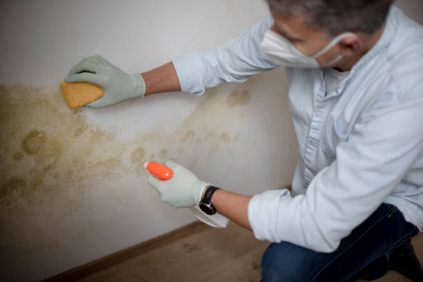 Best Crawl Space Mold Removal  in Platteville, WI