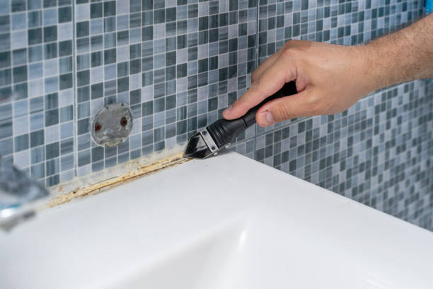 Best Mold Remediation  in Platteville, WI